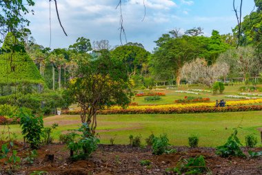 Kandy, Sri Lanka 'da Kraliyet Botanik Gardwen' i.