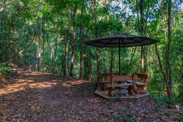 stock image Udawattakele sanctuary in Kandy, Sri Lanka.