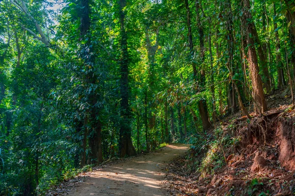 Kandy, Sri Lanka 'daki Udawattakele Sığınağı.