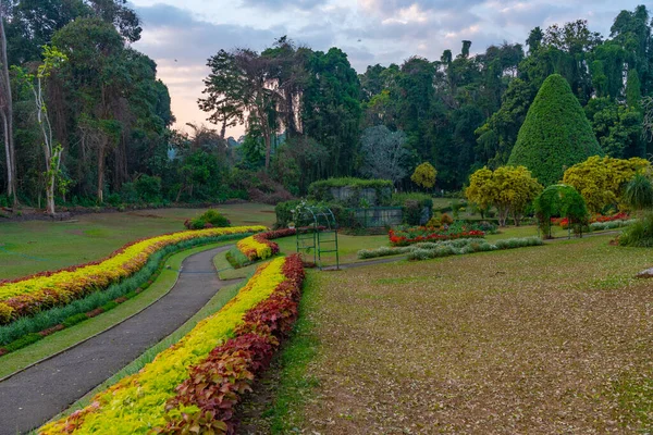 Real Jardín Botánico Kandy Sri Lanka — Foto de Stock