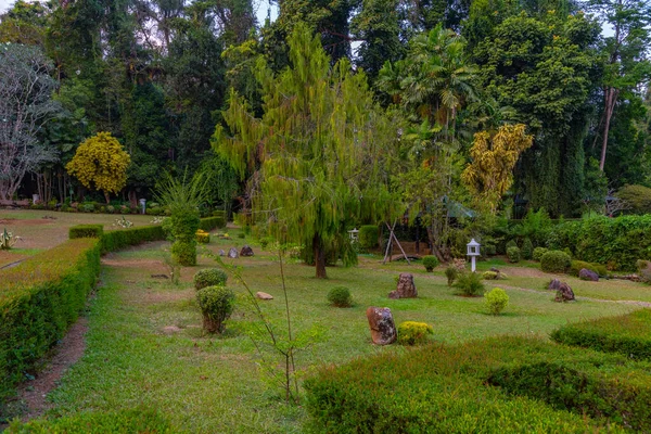 Королівські Ботанічні Сади Канді Шрі Ланка — стокове фото