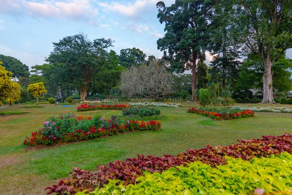 カンディ スリランカのロイヤル植物園 — ストック写真