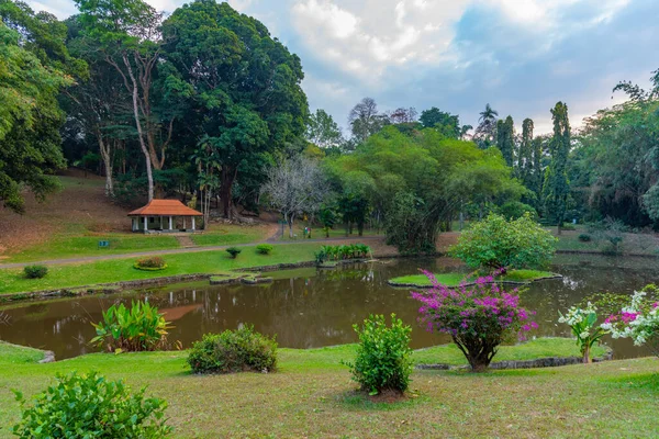 斯里兰卡坎迪的皇家植物园 — 图库照片