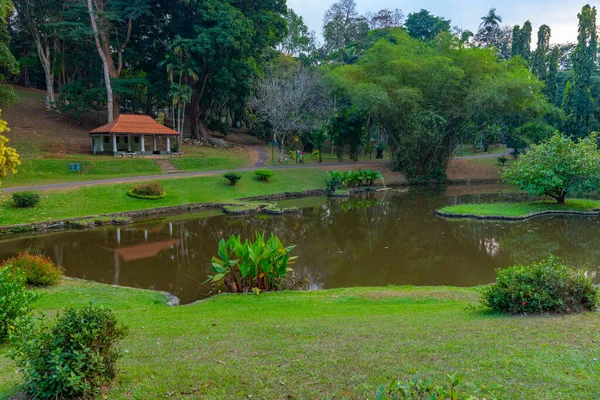 斯里兰卡坎迪的皇家植物园 — 图库照片