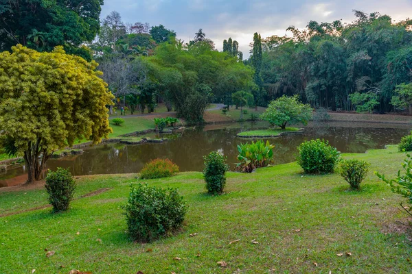 Jardins Botaniques Royaux Sri Lanka — Photo