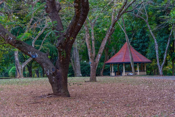 Giardino Botanico Reale Kandy Sri Lanka — Foto Stock