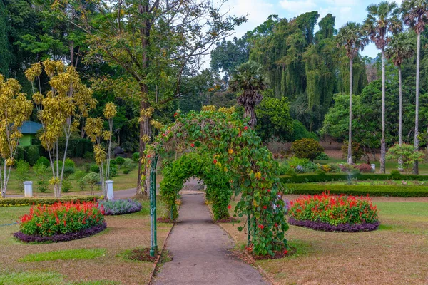 Βασιλικός Βοτανικός Κήπος Στην Κάντι Της Σρι Λάνκα — Φωτογραφία Αρχείου