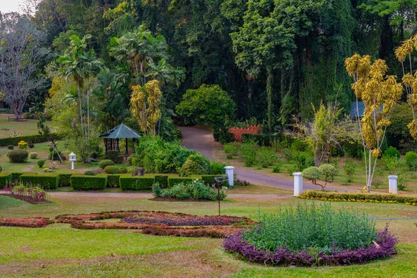 Royal Botaniska Gardwen Kandy Sri Lanka — Stockfoto