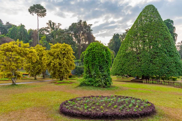 stock image Royal botanical gardwen in Kandy, Sri Lanka.