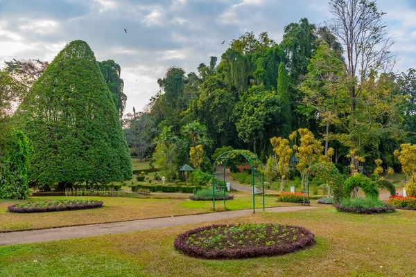 stock image Royal botanical gardwen in Kandy, Sri Lanka.