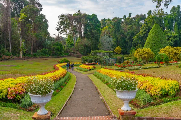 Королевский Ботанический Сад Канди Шри Ланка — стоковое фото