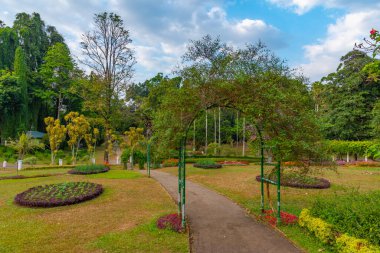 Kandy, Sri Lanka 'da Kraliyet Botanik Gardwen' i.