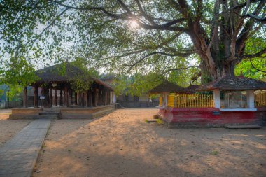 Kandy yakınlarındaki Embekka Tapınağı, Sri Lanka.