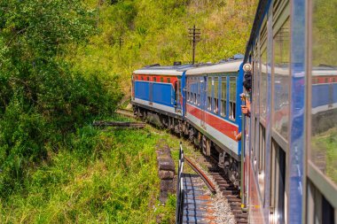 Sri Lanka 'daki çay tarlalarının arasında bir yamaçta tren dolanıyor..