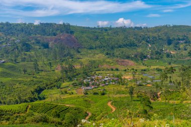 Sri Lanka 'nın tepeli manzarası bir trenden seyredilen köyler ve çay tarlalarıyla dolu..