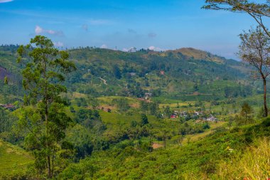 Sri Lanka 'nın tepeli manzarası bir trenden seyredilen köyler ve çay tarlalarıyla dolu..