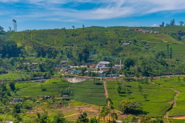 Sri Lanka 'nın tepeli manzarası bir trenden seyredilen köyler ve çay tarlalarıyla dolu..