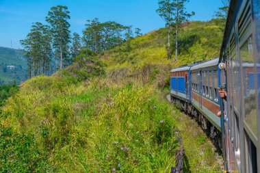 Sri Lanka 'daki çay tarlalarının arasında bir yamaçta tren dolanıyor..