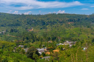 Sri Lanka 'nın tepeli manzarası bir trenden seyredilen köyler ve çay tarlalarıyla dolu..