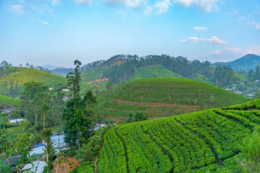 Sri Lanka 'nın tepeli manzarası bir trenden seyredilen köyler ve çay tarlalarıyla dolu..