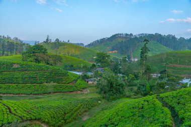 Sri Lanka 'nın tepeli manzarası bir trenden seyredilen köyler ve çay tarlalarıyla dolu..
