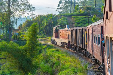 Sri Lanka 'daki çay tarlalarının arasında bir yamaçta tren dolanıyor..