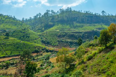 Sri Lanka 'nın tepeli manzarası bir trenden seyredilen köyler ve çay tarlalarıyla dolu..