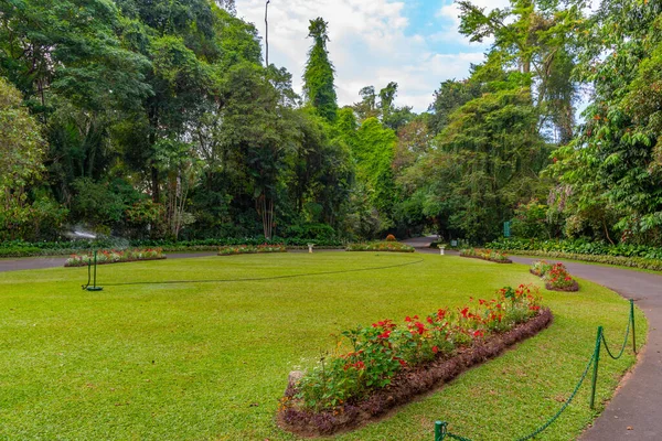 Royal Botanical Gardwen Kandy Sri Lanka — Stok Foto