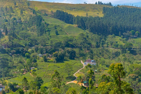 Sri Lanka Nın Tepeli Manzarası Bir Trenden Seyredilen Köyler Çay — Stok fotoğraf
