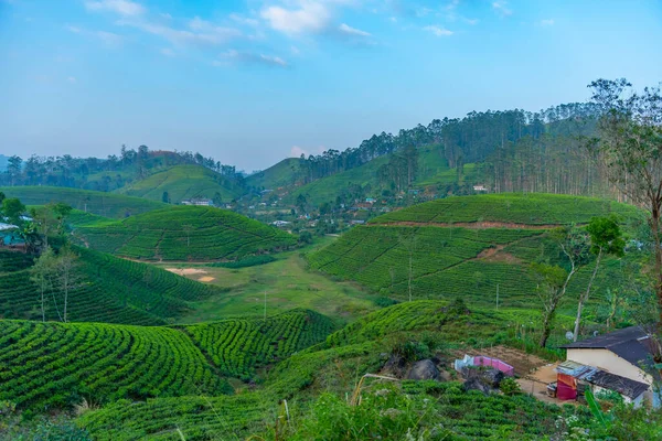 Sri Lanka 'nın tepeli manzarası bir trenden seyredilen köyler ve çay tarlalarıyla dolu..