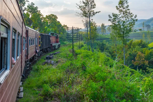 火车蜿蜒在斯里兰卡茶园的山坡上 — 图库照片