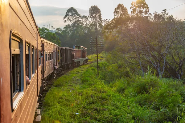 Намотка Поезда Склоне Холма Среди Чайных Плантаций Шри Ланке — стоковое фото