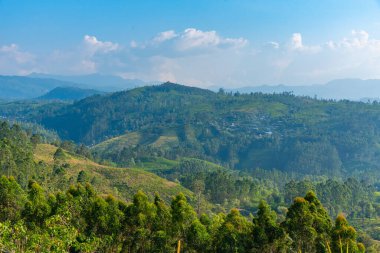 Sri Lanka 'nın tepeli manzarası bir trenden seyredilen köyler ve çay tarlalarıyla dolu..