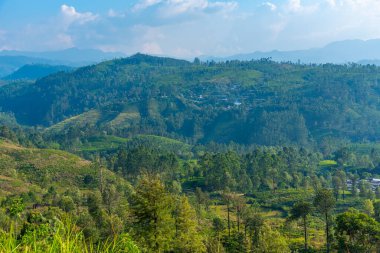Sri Lanka 'nın tepeli manzarası bir trenden seyredilen köyler ve çay tarlalarıyla dolu..
