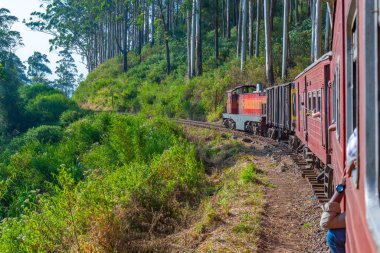 Sri Lanka 'daki çay tarlalarının arasında bir yamaçta tren dolanıyor..