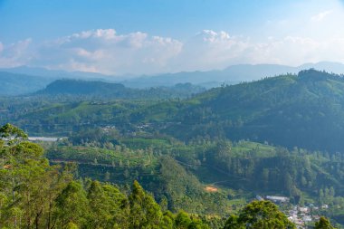 Sri Lanka 'nın tepeli manzarası bir trenden seyredilen köyler ve çay tarlalarıyla dolu..