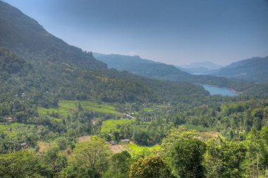 Ramboda yakınlarındaki çay tarlalarının Sri Lanka 'daki hava manzarası..