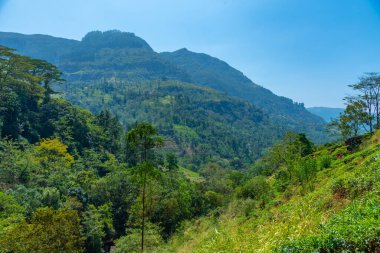 Sri Lanka 'daki dağlık arazi manzarası.