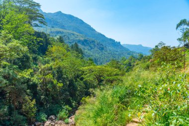 Sri Lanka 'daki dağlık arazi manzarası.