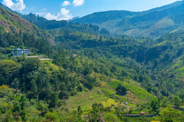 ランボダ近くの茶畑の空中からの眺めはスリランカに落ちる — ストック写真