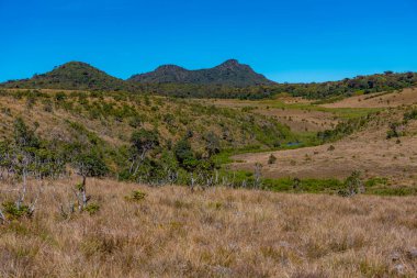 Sri Lanka 'daki Horton Plains Ulusal Parkı' nın doğal manzarası.