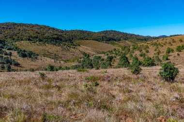Sri Lanka 'daki Horton Plains Ulusal Parkı' nın doğal manzarası.
