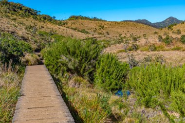 Sri Lanka 'daki Horton Plains Ulusal Parkı' nın doğal manzarası.