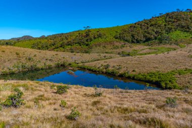 Sri Lanka 'daki Horton Plains Ulusal Parkı' ndaki baca göleti..