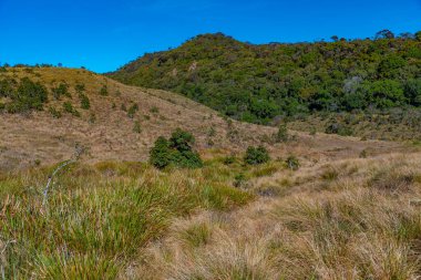 Sri Lanka 'daki Horton Plains Ulusal Parkı' nın doğal manzarası.