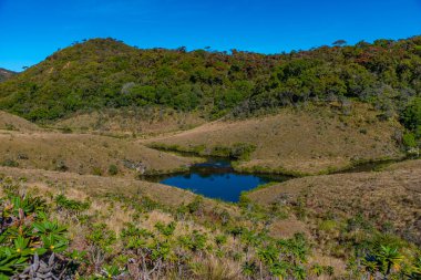 Sri Lanka 'daki Horton Plains Ulusal Parkı' nın doğal manzarası.