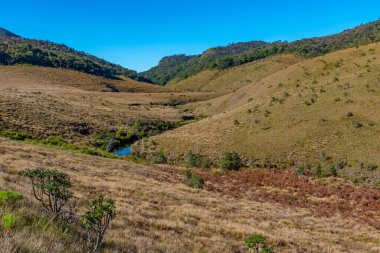 Sri Lanka 'daki Horton Plains Ulusal Parkı' nın doğal manzarası.