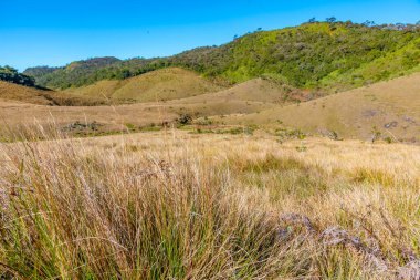Sri Lanka 'daki Horton Plains Ulusal Parkı' nın doğal manzarası.