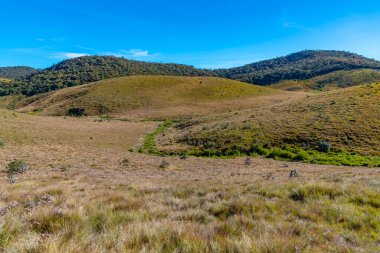 Sri Lanka 'daki Horton Plains Ulusal Parkı' nın doğal manzarası.