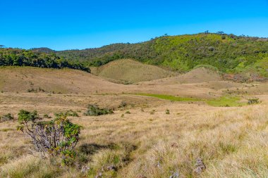 Sri Lanka 'daki Horton Plains Ulusal Parkı' nın doğal manzarası.